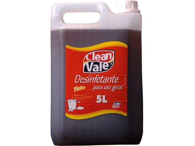 DESINFETANTE PINHO CLEAN VALE - BB C/5 L