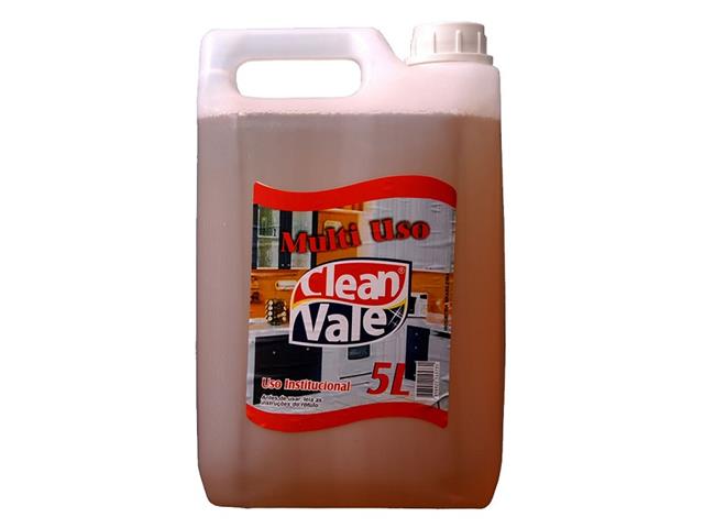 LIMPADOR MULTIUSO CLEAN VALE - BB C/5 L