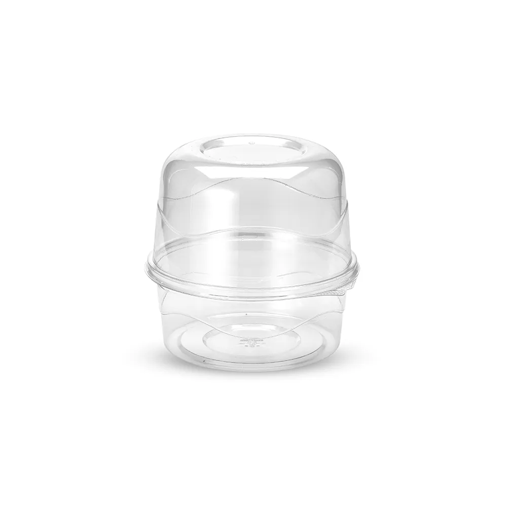 G 43 Panetone - 500g - Cristal